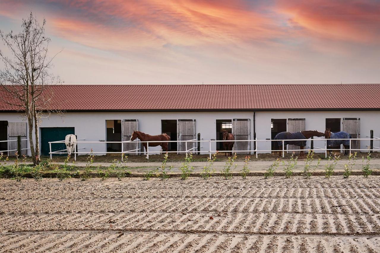 Brussa Horse Oasi Villa Caorle Ngoại thất bức ảnh