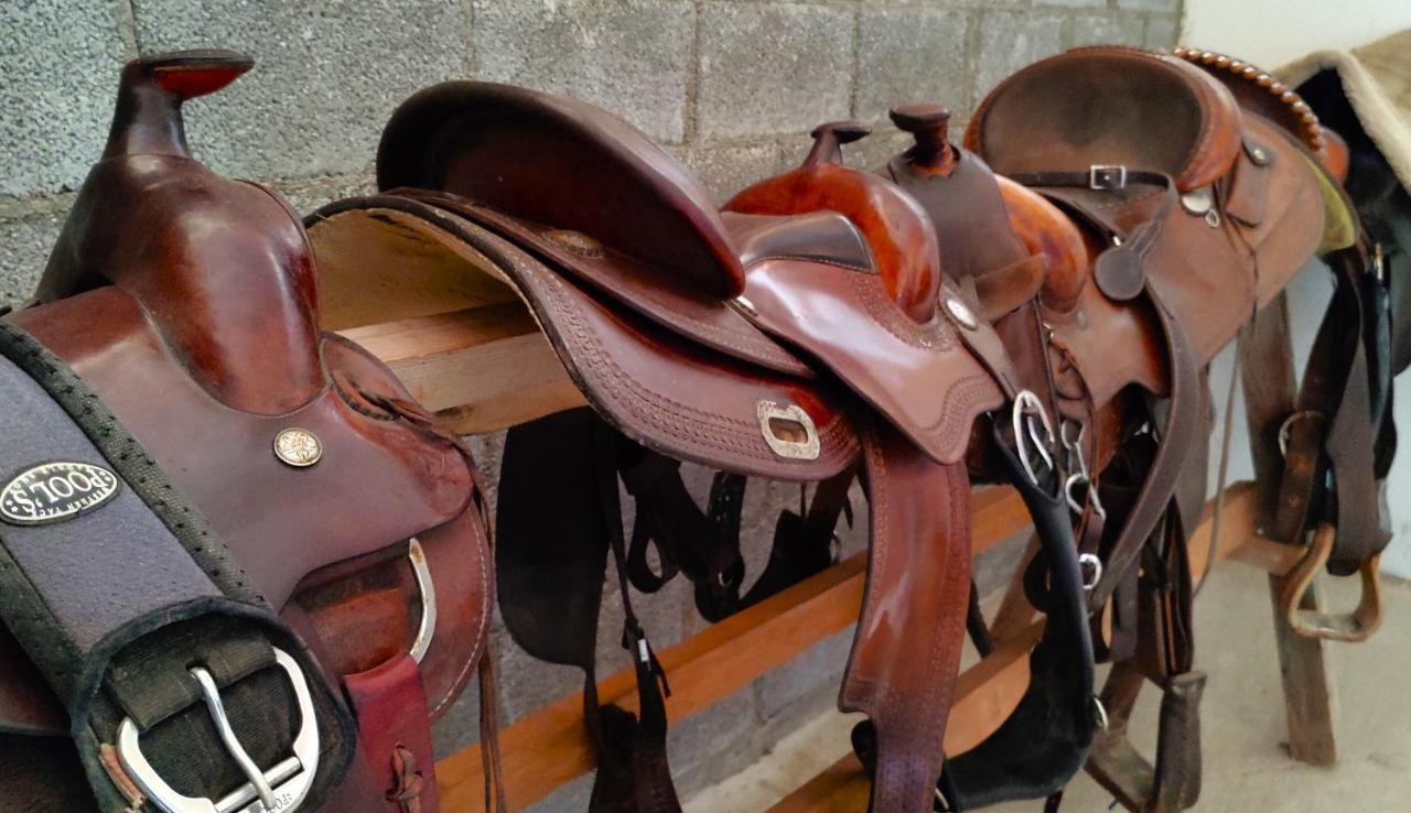 Brussa Horse Oasi Villa Caorle Ngoại thất bức ảnh